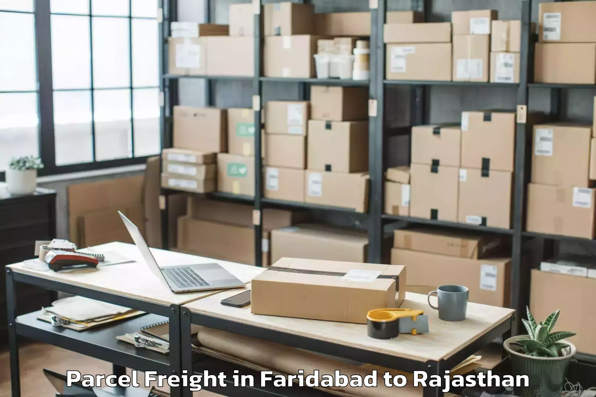 Affordable Faridabad to Abhilashi University Udaipur Parcel Freight